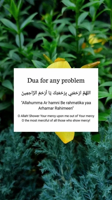 Dua For Any Problem, Dua For Breathing Problem, Dua For All Problems, Dua To Have A Good Day, Dua For Problems, Dua For Family Problems, Dua For Wish Come True, Dua For Stressful Times, Daily Duas Islamic Quotes