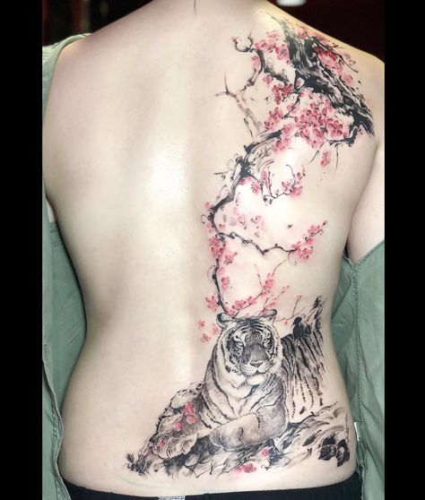 MadlineTATTOO_Shu trên Instagram: “Tiger and Cherry blossom in Chinese traditional ink wash style. #Chinese #chineseart #chinesetradition #chinesetattoo #chineseink…” Holy Tattoos, Cherry Blossom Tattoos, Chinese Tattoo, Traditional Ink, Blossom Tattoo, Cherry Blossom Tattoo, Chinese Ink, Ink Wash, Tiger Tattoo