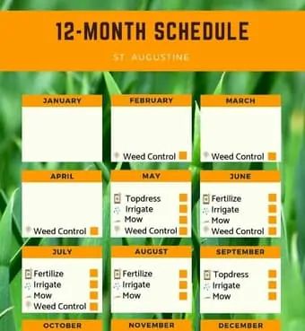 St. Augustine Lawn Care Fertilizer Schedule (Free Printable) St Augustine Grass Care Texas, St Augustine Grass Care, Lawn Fertilizer Schedule, Best Grass Seed Lawn, Coleus Care, Lawn Maintenance Schedule, Lawn Mowing Business, St Augustine Grass, Grass Fertilizer