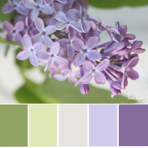 Soft Lilac and Greens Lilac Aesthetic Color Palette, Lilac Complimentary Colour, Lilac And Sage Aesthetic, Green And Lilac Aesthetic, Green Lilac Color Palette, Soft Green Palette, Lilac Color Combinations, Lilac And Green Wedding, Sage Green And Lilac