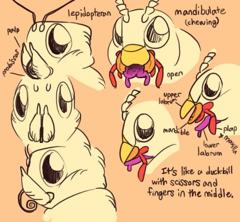 im hugely inspired by the way you draw anthro bugs, and i was wondering how you go about simplifying mouthparts? I'm trying to simplify a domino roach's mouthparts becauase that's my favorite species… Bugs Drawing, Bee Art, Alien Art, Guided Drawing, Creature Concept Art, Art Challenge, Drawing Reference Poses, Creature Design, Art Reference Poses