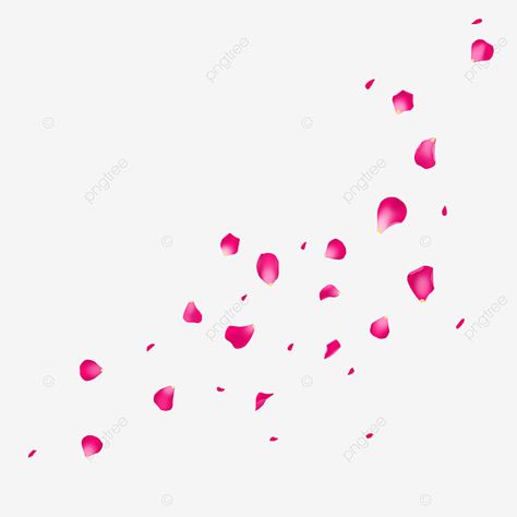 pink floating rose petals Floating Petals, Pink Rose Petals, Map Creator, Wedding Map, Rose Petals, Png Clipart, Png Image, Pink Rose, Transparent Background