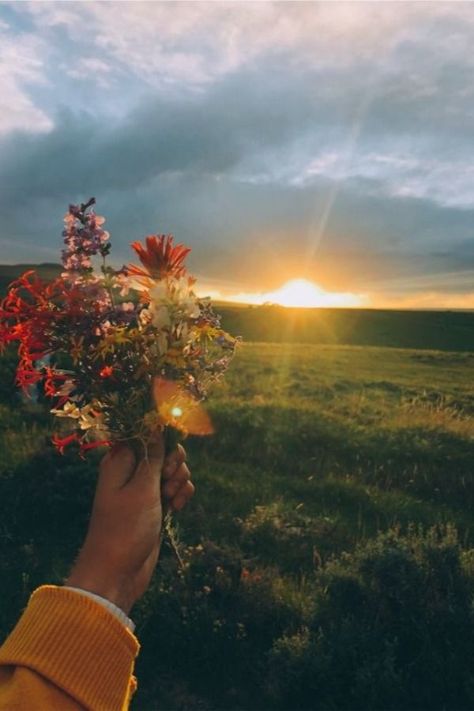 Balcony Exterior, Plants Are Friends, Nothing But Flowers, Happy Vibes, Fantasy Landscape, Love Flowers, My Flower, Beautiful Views, Pretty Flowers