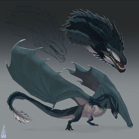 Game Of Thrones Dragons, Mythical Creatures Fantasy, Got Dragons, Wings Of Fire Dragons, Dragon Artwork Fantasy, Targaryen Art, Dragon Sketch, Httyd Dragons, Gra O Tron