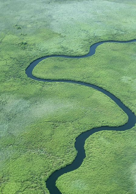 Okavango Delta. You float canoes down the delta, camp out in the middle of nowhere and take mini treks and canoe rides to see Elephants, zebras, giraffes and hippos. Awesome except we ran out of water and had to drink from the Delta.... and survived! Okavango Delta Botswana, Africa Continent, Okavango Delta, Out Of Africa, Space Travel, Africa Travel, Oh The Places Youll Go, Zebras, Botswana