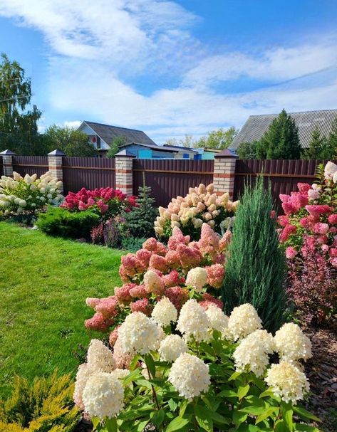 Front Garden Landscape Ideas, Large Flower Bed Ideas, Hydrangea Garden Front Yard, Flower Garden Ideas In Front Of House, Hydrangea Front Yard, Flower Garden Ideas Landscaping, Hydrangea Landscaping, Front Garden Landscape, Romantic Country