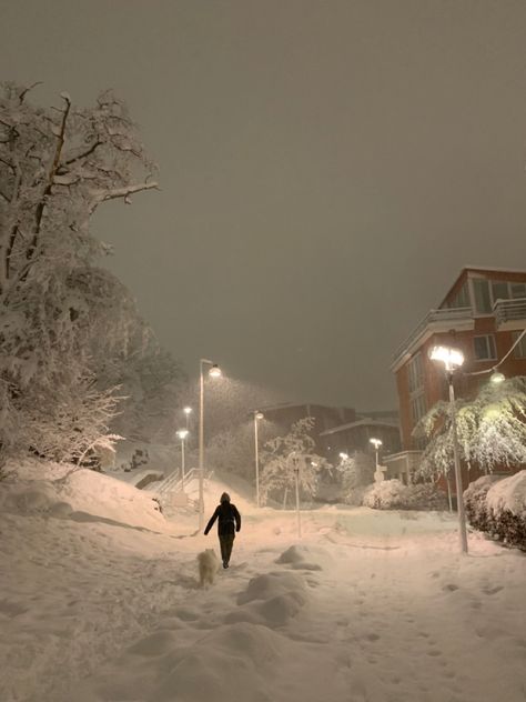 Winter In Stockholm, Stockholm In Winter, Stockholm Snow, Christmas Stockholm, Stockholm Christmas, Winter Stockholm, Winter Goals, Stockholm Winter, Russian Winter