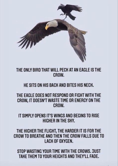 Smart Quotes Wisdom, Eagles Quotes, Stop Wasting Your Time, Spurgeon Quotes, The Crows, Inspirational Words Of Wisdom, Man Up Quotes, Smart Quotes, Good Morning Friends Quotes