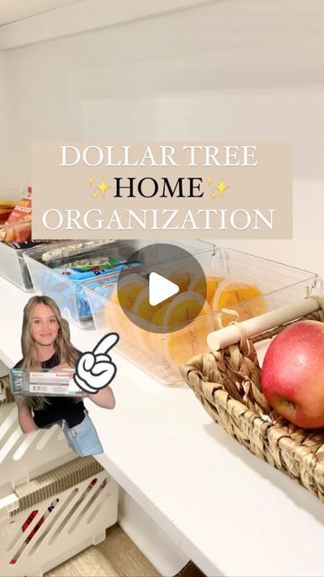 Under The Sink Organization Kitchen Dollar Tree, Dollar Tree Acrylic Organizer, Grocery Organization Ideas, Walmart Hacks Diy, House Organization Ideas Dollar Stores, Dollar Tree Tea Organizer, Dollar Tree Kitchen Hacks, Bathroom Closet Organization Dollar Tree, Dollar Tree Spice Organization