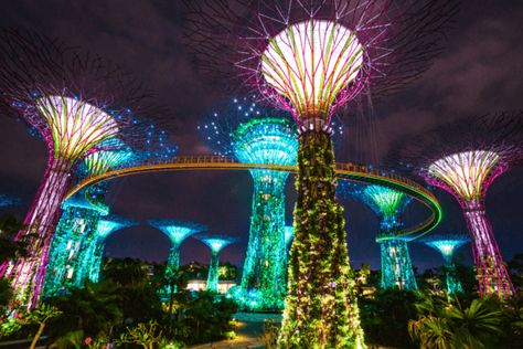 Things To Do In Singapore, Singapore Garden, Vintage Menu, Travel Camera, Holiday Places, Singapore Travel, Tokyo Travel, Gardens By The Bay, Photo Search