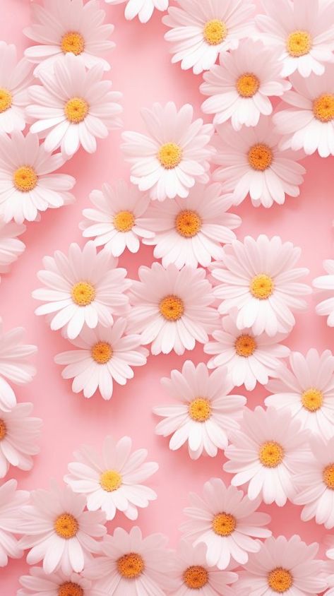 Wallpaper pattern flower daisy backgrounds | premium image by rawpixel.com / Aew Daisy Aesthetic Wallpapers, Cute Pink Wallpaper Iphone, Iphone Wallpaper With Quotes, Cute Pink Wallpaper, Daisy Aesthetic, Daisy Background, Cute Images For Wallpaper, Cute Pink Background, Phone Wallpaper Pink