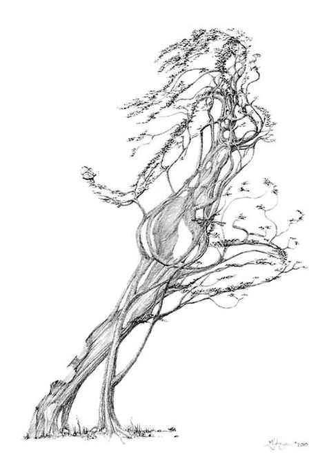 Dance Tattoos, Wicca Tattoo, Ballerina Tattoo, Tree Nymph, Mother Tree, Dance Tattoo, Drawing Tree, Haunted Tree, Mother Nature Tattoos