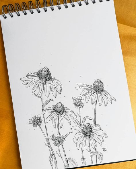 Coneflower Drawing, Drawing Back, Easy Flower Drawings, Doodle Art Flowers, Prompt List, Pen Art Drawings, Flower Sketches, Zentangle Drawings, Watercolor Art Lessons