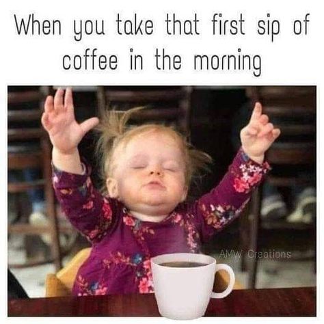 When you take that first sip of coffee in the morning Morning Coffee Funny, Thursday Humor, Morning Memes, Happy Birthday Greetings Friends, Funny Good Morning Quotes, Good Morning Funny, Funny Quotes Sarcasm, Fun Signs, Good Morning Gif