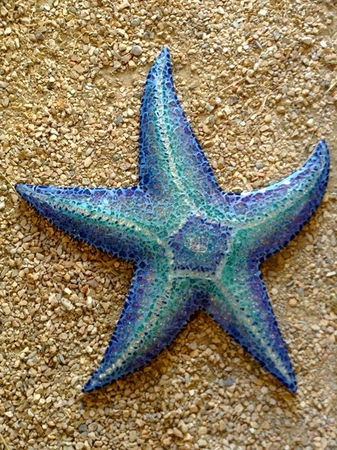 Production — EB Studio Cool Sea Creatures, Starfish Art, Tropical Interior Design, Sea Creatures Art, Nature Projects, World Birds, Clay Crafts Air Dry, Sea Star, Sea Fish