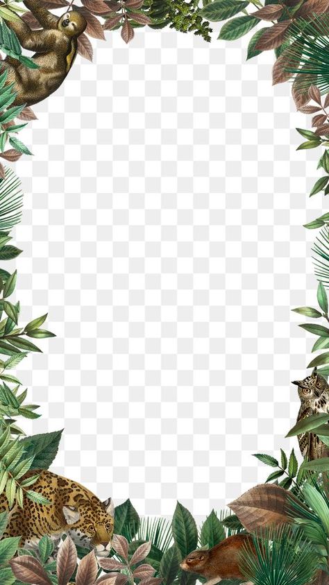 Forest Background For Editing, Jungle Background For Editing, Jungle Frame, Jungle Border, Forest Border, Animals In Forest, Environment Background, Png Wallpaper, Frame Story