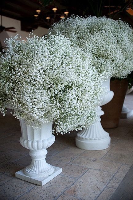 Gypsophila Wedding, Wedding Church Decor, Party Event Decor, Church Wedding Flowers, White Wedding Theme, Winter Wedding Flowers, Wedding Spot, Baby S Breath, Diy Brides