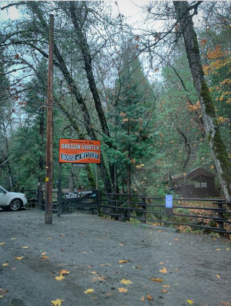 Small Town Aesthetic Forest, Small Towns In Oregon, Forest Travel Aesthetic, Small Forest Town Aesthetic, Washington Fall Aesthetic, Small Town Oregon, Corvallis Oregon Aesthetic, Oregon Small Town Aesthetic, Pnw Fall Aesthetic