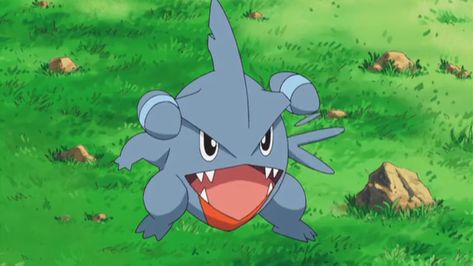 Pokemon Gible, Gible Pokemon, Ash's Pokemon, Pokemon Aesthetic, Kawaii Pokemon, Cute Grunge, Pokemon Team, Ash Pokemon, The Rival