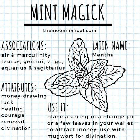 Mint Uses Witchcraft, Mint In Witchcraft, Mint Witchcraft, Green Witch Garden, The Green Witch, Witch Spells, Witchcraft Herbs, Rosemary Sage, Witch Herbs