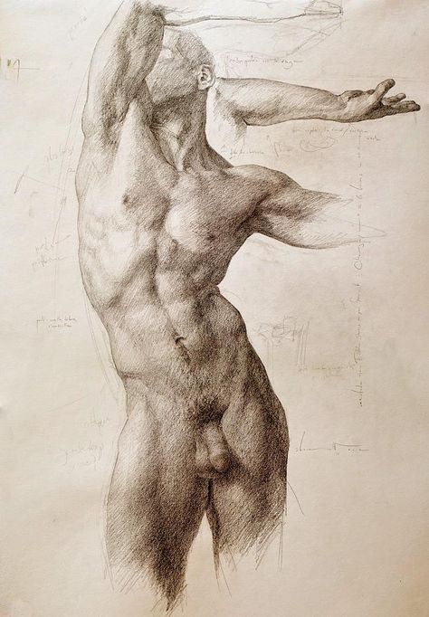 Shane Wolf, Male Body Drawing, Male Body Art, Back Drawing, Male Figure Drawing, Human Body Drawing, Human Figure Sketches, Nude Artwork, Human Anatomy Drawing