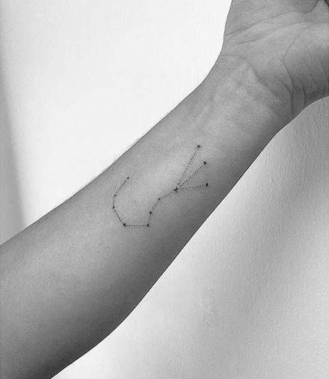 Scorpius constellation tattoo on the inner forearm. #tattoo, #tattooed Zoe Kravitz Tattoos, Scorpius Constellation, Daffodil Flower Tattoos, Star Constellation Tattoo, Scorpio Constellation Tattoos, Astronomy Tattoo, Inner Forearm Tattoo, Aquarius Tattoo, Scorpio Tattoo