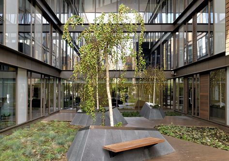 Atrium Garden, Atrium Design, Indoor Courtyard, Courtyard Landscaping, Commercial And Office Architecture, Courtyard Gardens Design, Building Images, Courtyard Design, Internal Courtyard