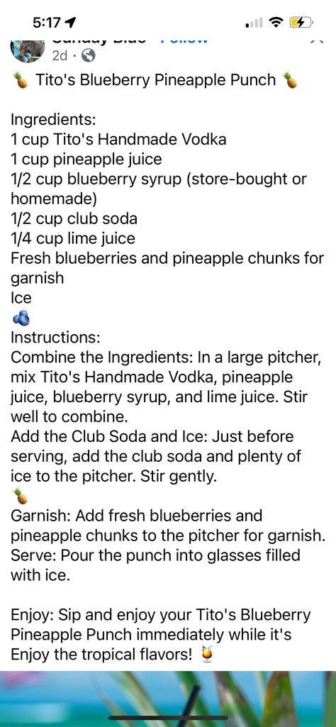 Borg Recipe, Pineapple Punch, Blueberry Syrup, Club Soda, Pineapple Juice, Lime Juice, Syrup, Vodka, Pineapple