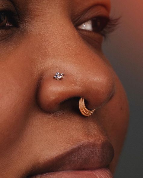 SIX16 Body Piercing on Instagram: “The Finer Things ✨🌸 Nostril & Septum by: @false_mrsa #six16 #six16piercing #bvla #mariatash #septum #septumpiercing” Septum Small Hoop, Minimal Septum Piercing, Snug Septum Ring, Double Nostril Septum Medusa, Indian Septum Piercing, Maria Tash, Septum Piercing, Septum Ring, Piercings