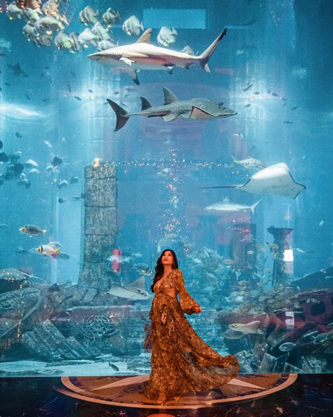 DUBAI TRAVEL GUIDE: 6 DAY GUIDE FOR FIRST TIMERS Dubai Fashion Women, Dubai Picture Ideas, Kenya Trip, Three Days In Paris, Dubai Photoshoot, Dubai Travel Guide, Underwater Restaurant, Dubai Vacation, Dubai Tour