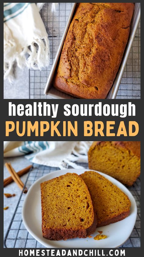 You're going to love our healthy sourdough pumpkin spice bread! It's soft, fluffy, mildly sweet, perfectly spiced, and oh-so-delicious. Made with whole wheat pastry flour, ample pumpkin, and no refined sugar, it's more nutritious than other sweet breads! #sourdough #pumpkinbread Sourdough Discard Pumpkin Bread Healthy, Vegan Sourdough Pumpkin Bread, Healthy Sour Dough Bread Recipe, Autumn Sourdough Bread, Healthy Sourdough Pumpkin Muffins, Made In Motherhood Sourdough, Sour Dough Pumpkin Bread, Pumpkin Sourdough Loaf, Sourdough Pumpkin Loaf