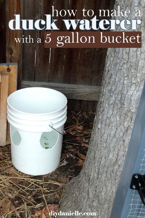 Use a 5 gallon bucket to make a DIY duck water bucket that will give them plenty of water with less mess!  #homesteading #DIY Duckling Waterer, Duck Waterer, Duck Feeder, Duck Enclosure, Duck Pen, Duck Pens, Backyard Ducks, Duck Coop, Duck Farming