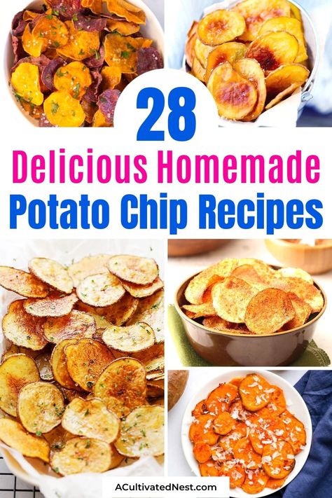 Homemade Bbq Potato Chips, Homemade Chips Seasoning, Make Your Own Chips, Uses For Potato Chip Crumbs, Sun Chips Recipe, Homemade Bbq Chips, Mashed Potato Chips, Dehydrator Potato Chips, Sweet Potato Chips Dehydrator