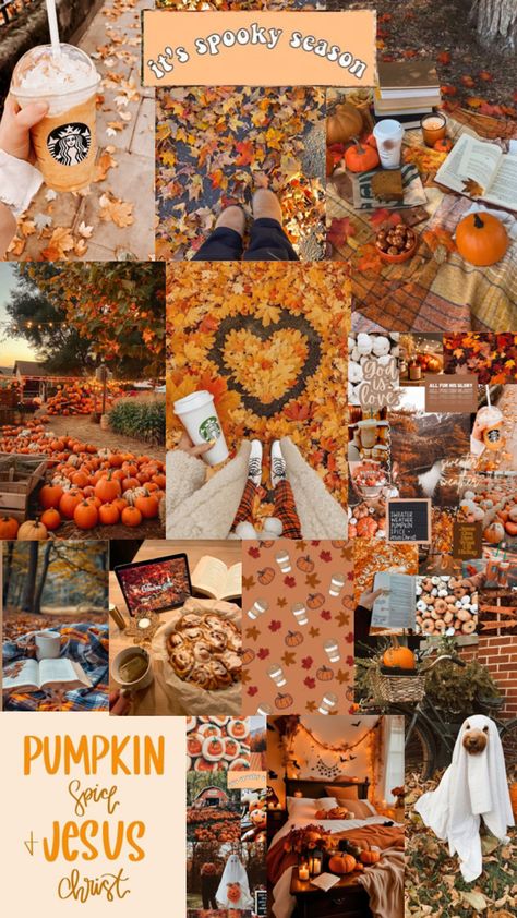 Fall collage Fall Calloge, Fall Pic Collage, Autumn Aesthetic Wallpaper Collage, Fall Background Collage, October Collage, November Collage, Fall Wallpaper Collage, Fall Collage Wallpaper, Fall Collage