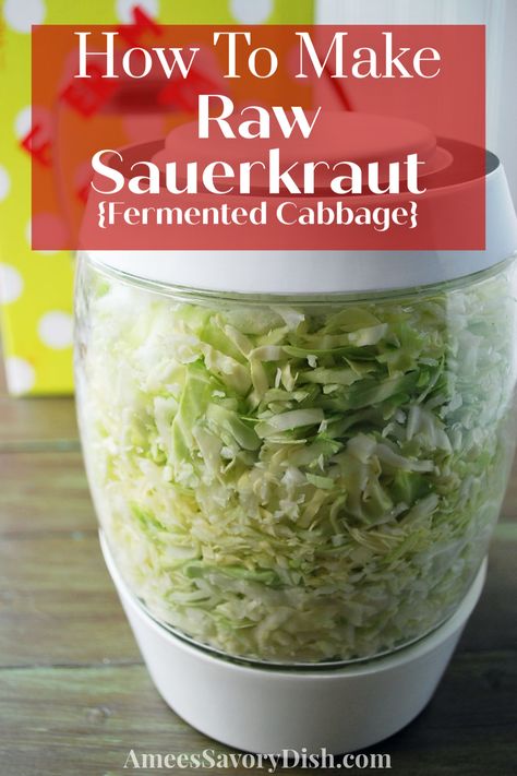 An easy recipe for fermented homemade raw sauerkraut made with only a few simple ingredients using the Mortier Pilon fermentation crock #fermentedfoods #rawsauerkraut #guthealth via @Ameecooks Fermenting Crock Pots, Red Skin Potato Salad, Raw Sauerkraut, Fermented Foods Benefits, Sauerkraut Recipe, Homemade Sauerkraut, Fermentation Crock, Fermented Cabbage, Sauerkraut Recipes