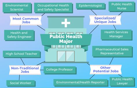 12 Jobs For Public Health Majors | The University Network Public Health Career, Pharmaceutical Sales, Public Health Nurse, Biology Major, Unique Jobs, Environmental Scientist, Best Nursing Schools, College Professor, Occupational Health