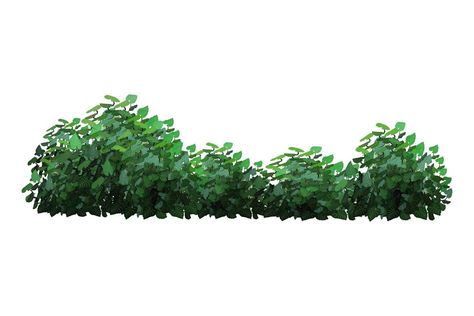 Bushes Clipart, Bushes Illustration, Bush Illustration, Green Bushes, Small House Exteriors, School Pens, House Exteriors, Small House, House Exterior