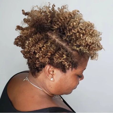 Natural Hair Highlights, Highlights For Dark Brown Hair, Natural Curly Hair Cuts, Highlights Curly Hair, Tapered Natural Hair, Natural Hair Short Cuts, Colored Curly Hair, Brown Hair With Blonde Highlights, Curly Hair Women