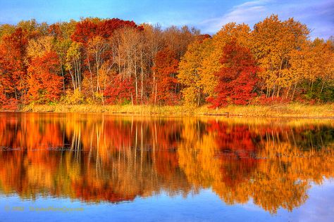 Autumn Reflections: Minnesota Autumn | Flickr - Photo Sharing! Reflection Pictures, Coat Of Many Colors, Fine Art Landscape Photography, Visual Poetry, Autumn Scenery, Autumn Beauty, Fall Pictures, Autumn Colors, Fall Foliage