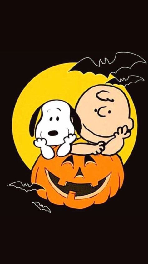 Charlie Brown Pumpkin, Halloween Snoopy, Great Pumpkin Charlie Brown, Charlie Brown Halloween, Peanuts Halloween, Snoopy Funny, Snoopy Halloween, Snoopy Images, Peanuts Cartoon