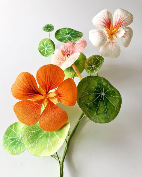 Inga Ilze Peterson on Instagram: “In-Person Workshop on June 25! Join me at @experimentpdx to create this very fun nasturtium vine. During this four-hour workshop, learn to…” Pink Nasturtium, Flower Crepe Paper, Paper Botanicals, Paper Wreaths, Paper Petals, Reception Florals, Paper Flower Art, Bouquet Inspiration, Handmade Stuff