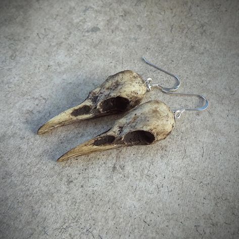 Creepy Earrings, Fantasy Earrings, Witch Earrings, Teenager Gifts, Raven Skull, Bone Jewelry, Pagan Jewelry, Bird Skull, Snake Jewelry