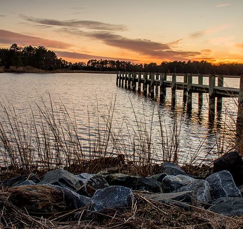 Maryland’s Eastern Shore features countless miles of shorelines, marshes and forests. It's a birder’s paradise, and great for family hikes. Maryland Eastern Shore, Fitness Trail, Cypress Swamp, Eastern Shore Maryland, Family Hiking, Eastern Shore, Canoe And Kayak, Walking Trails, Pine Forest