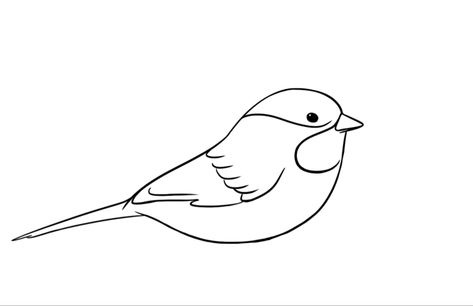 Chickadee Line Tattoo, Chickadee Drawing Tattoo Ideas, Simple Bird Outline Drawing, Fine Line Chickadee Tattoo, Bluejay Tattoo Simple, Chickadee Outline, Chickadee Tattoo Simple, Tattoo Chickadee, Fine Line Bird Tattoo