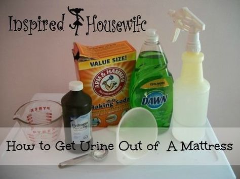 How to Get Pee Stains Out of a Mattress!...for the inevitable phase of bed wetting Pee Stains, Washing Soap, Urine Stains, Pet Stains, Dishwasher Soap, Stain Removal, Household Cleaning Tips, Diy Cleaners, Cleaners Homemade