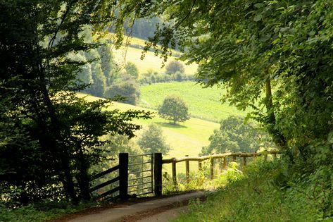 https://flic.kr/p/oAUczM | Country lane | A view from the lane that leads down to the River Wye's 'lost meander' near Newland in Gloucestershire. Dirt Road, 판타지 아트, Rolling Hills, Alam Yang Indah, English Countryside, Nature Aesthetic, Pretty Places, Country Life, Beautiful World