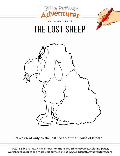 The Lost Sheep coloring page | FREE download | Bible coloring page for kids Lost Sheep Coloring Page, Sheep Coloring Page, Printable Bible Activities, Free Bible Coloring Pages, Hebrew Education, Bible Worksheets, Lost Sheep, Christian Activities, The Lost Sheep