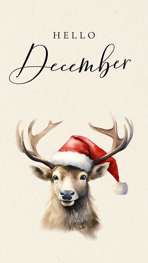 Hello December Facebook story template | free image by rawpixel.com / ton December Cover Photo Facebook, Hello December Wallpaper Christmas, Hello December Wallpaper, Hallo December, Hello December Images, December Images, Welcome December, Facebook Story, December Wallpaper