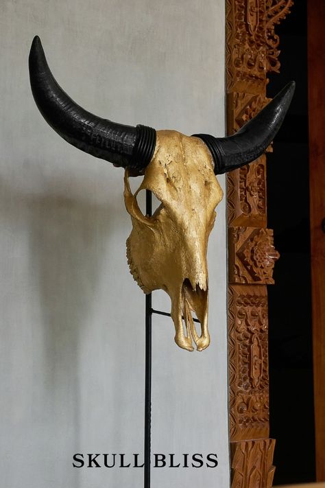 A smooth, monochromatic finish gives a bold and contemporary feel, letting the horns take center stage. Antelope Skull, Animal Skull Decor, Head Painting, Skull With Horns, Skull Model, Longhorn Skull, Buffalo Skull, Ram Skull, Gold Horns