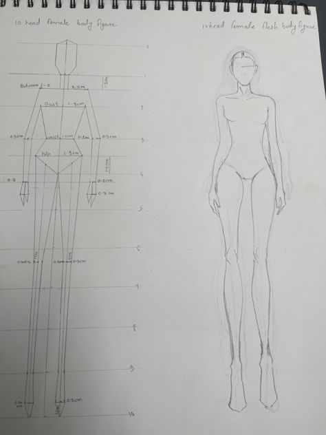 10 head Block body figure and 10 head flesh body figure illustrates 10 Head Fashion Figures, Body Block Sketch, Flesh Figures Fashion Illustration, 10 Head Figure Drawing, Block Figure Illustration, 10 Heads Fashion Illustration, Block Figure Sketch, 9 Head Figure Drawing, 10 Head Croquis Fashion Figures